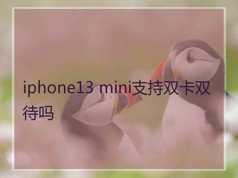 iphone13 mini支持双卡双待吗