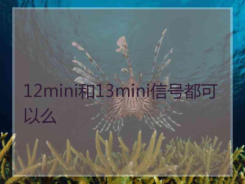 12mini和13mini信号都可以么