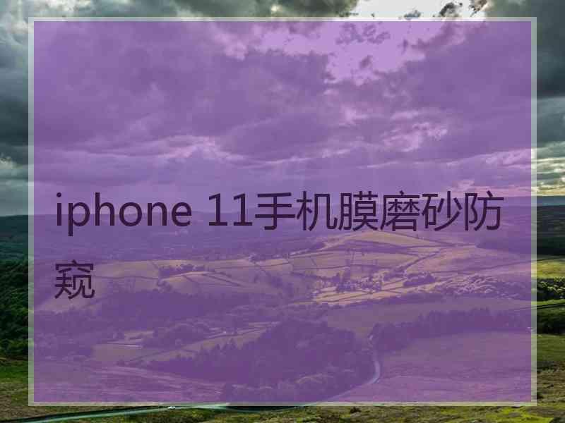 iphone 11手机膜磨砂防窥