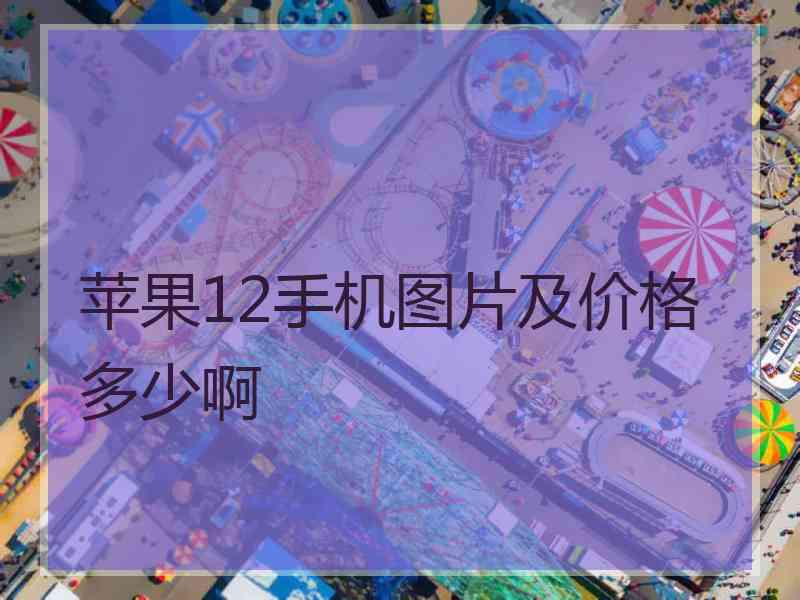 苹果12手机图片及价格多少啊