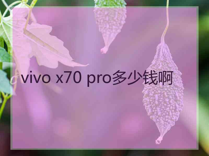 vivo x70 pro多少钱啊