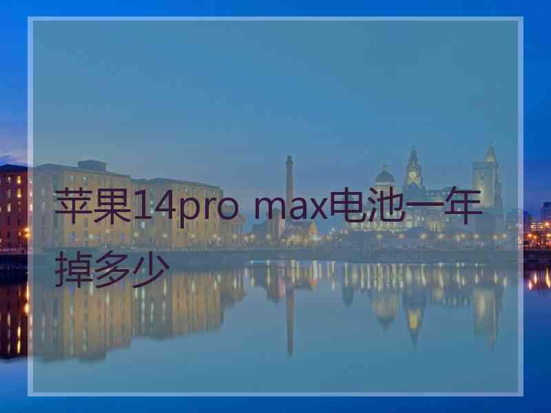 苹果14pro max电池一年掉多少