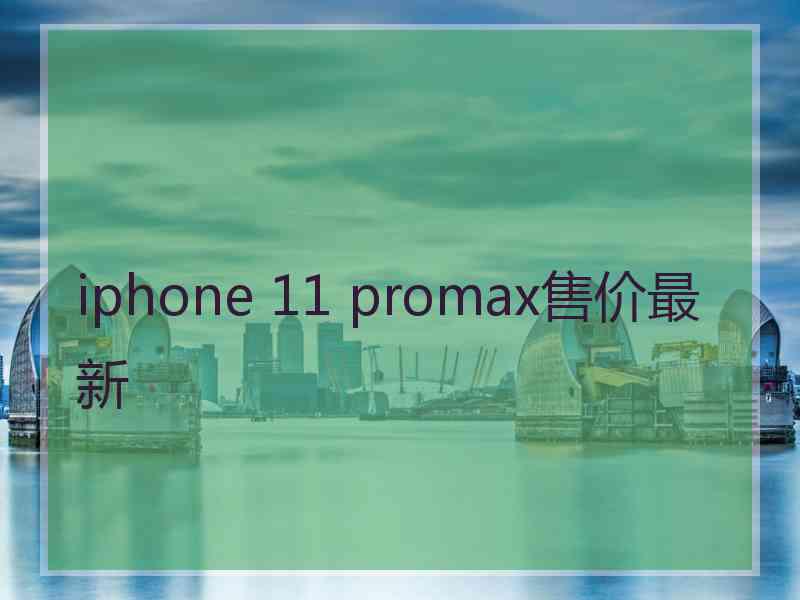 iphone 11 promax售价最新