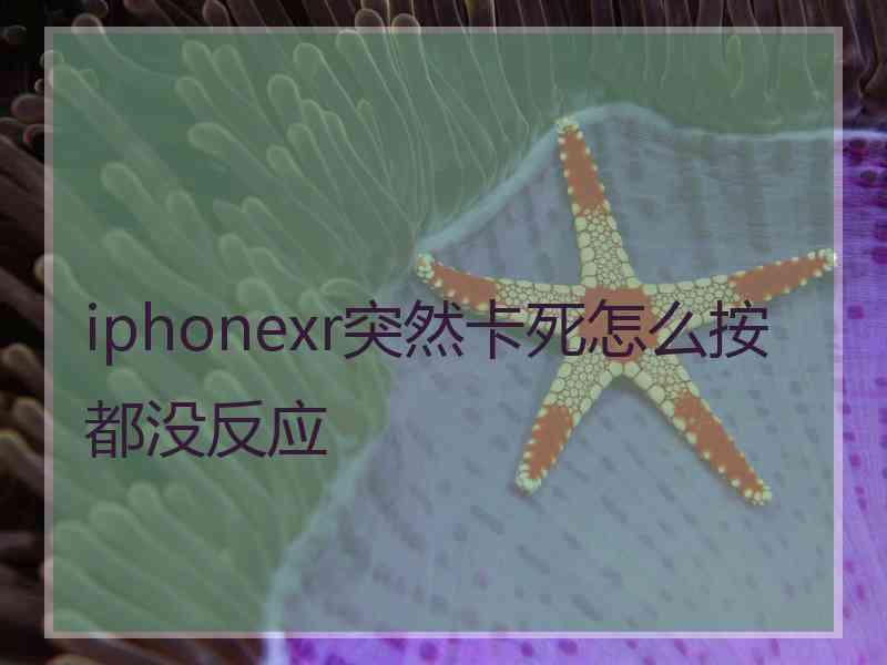 iphonexr突然卡死怎么按都没反应