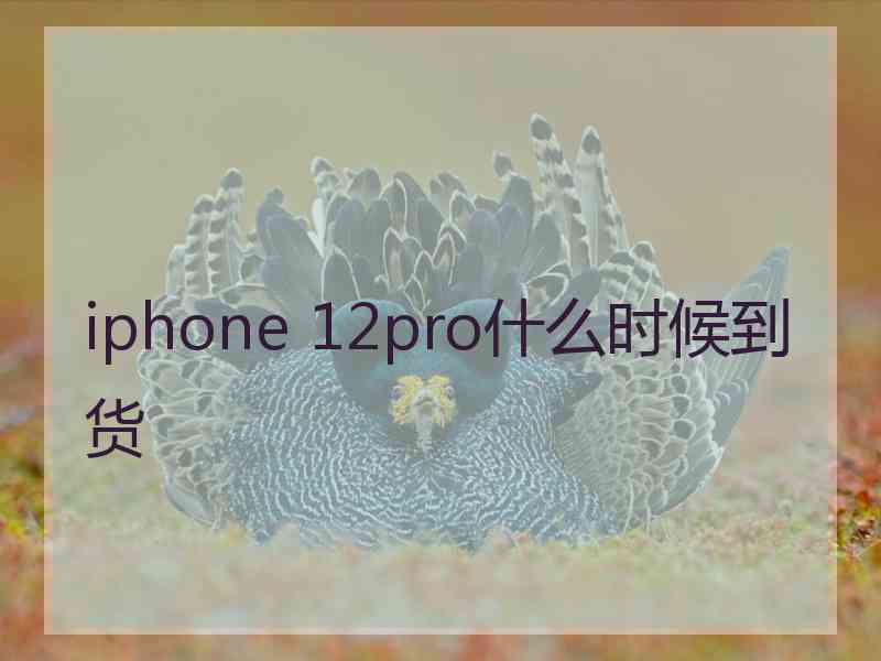 iphone 12pro什么时候到货