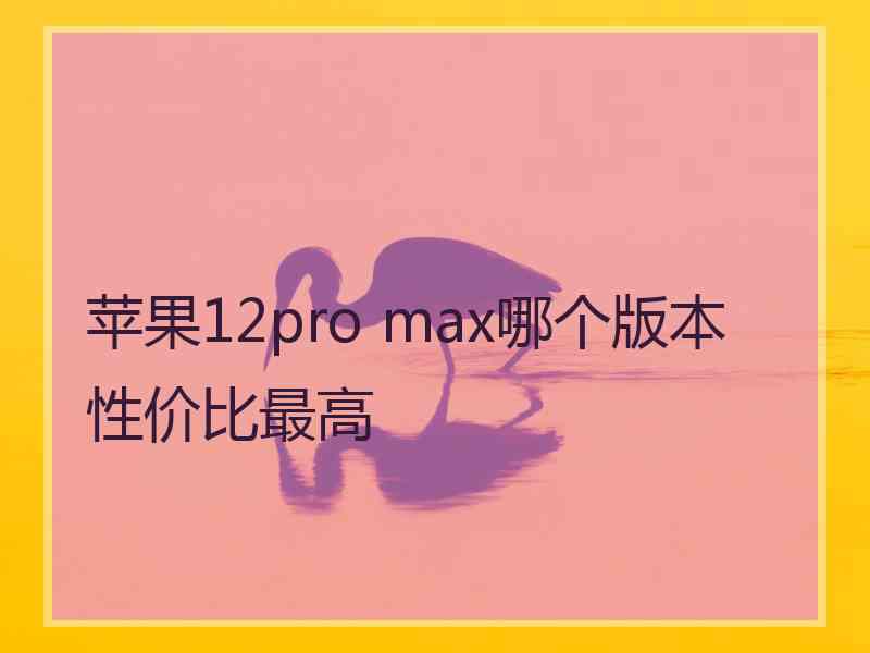 苹果12pro max哪个版本性价比最高