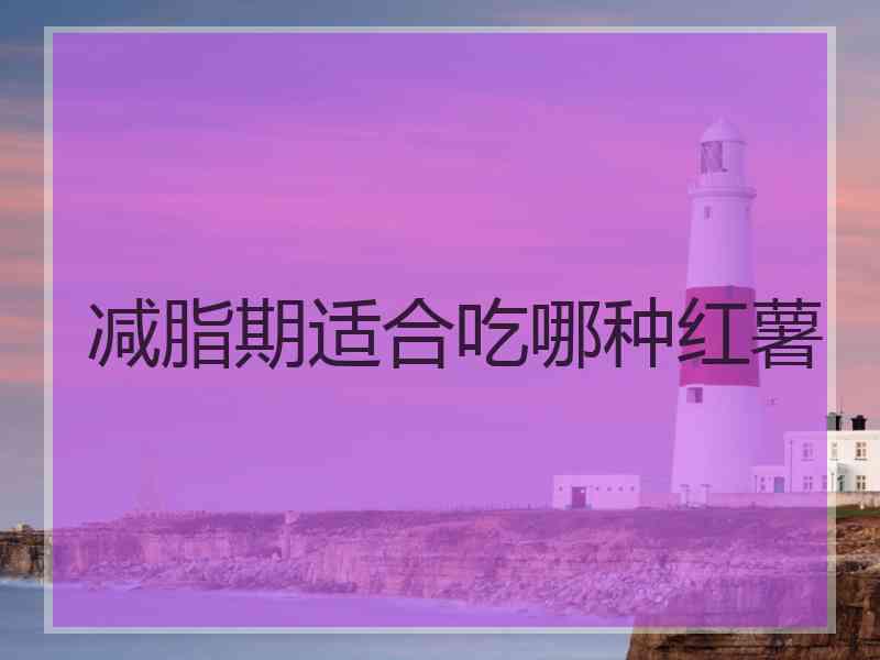 减脂期适合吃哪种红薯