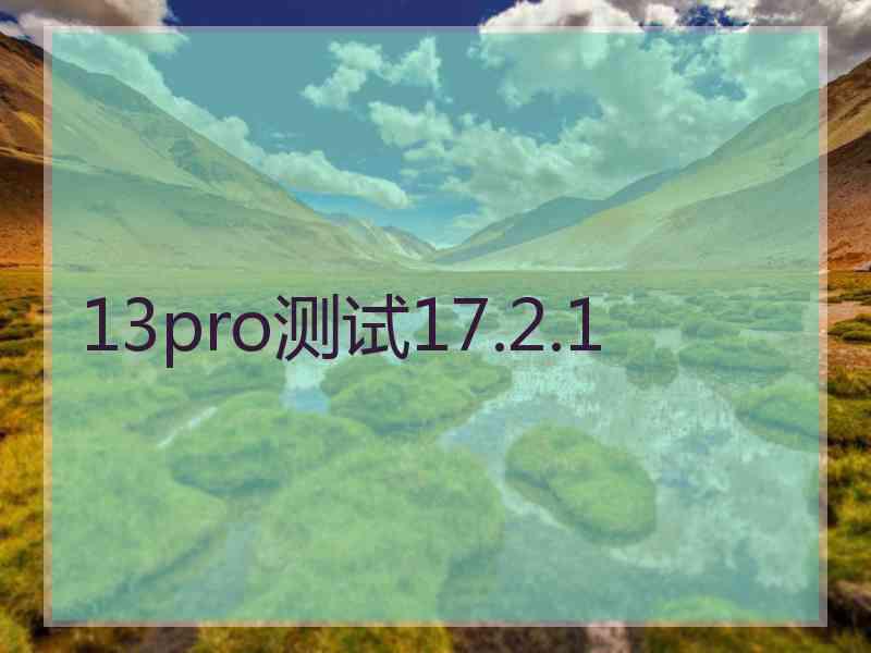 13pro测试17.2.1