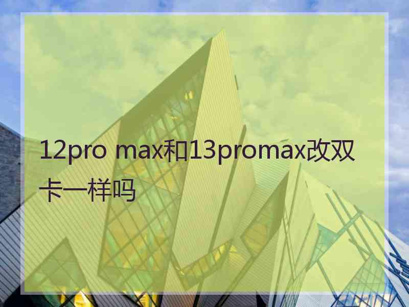 12pro max和13promax改双卡一样吗