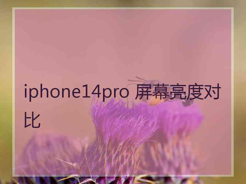 iphone14pro 屏幕亮度对比