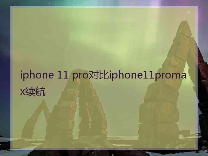 iphone 11 pro对比iphone11promax续航