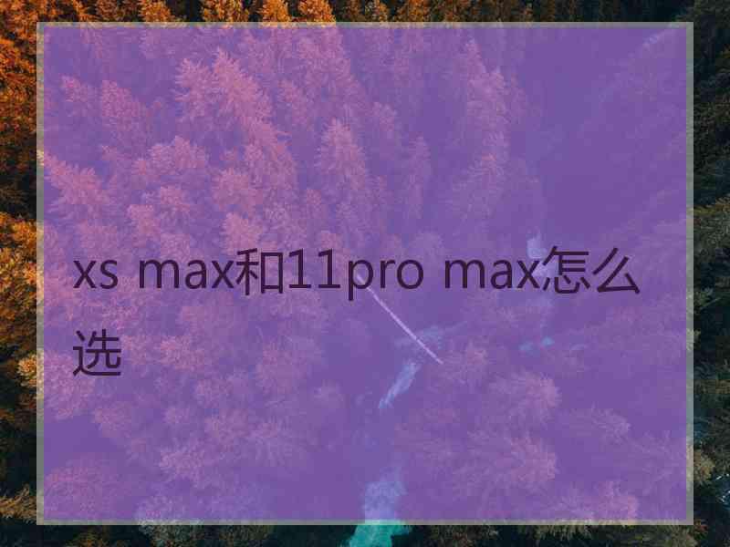 xs max和11pro max怎么选