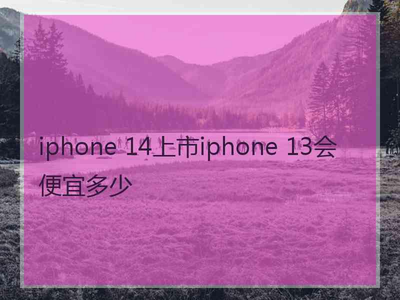 iphone 14上市iphone 13会便宜多少