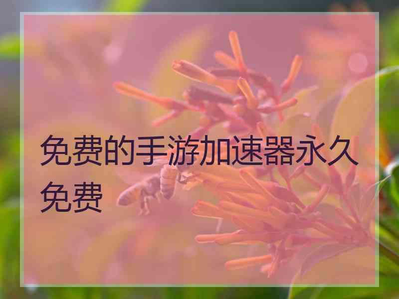 免费的手游加速器永久免费