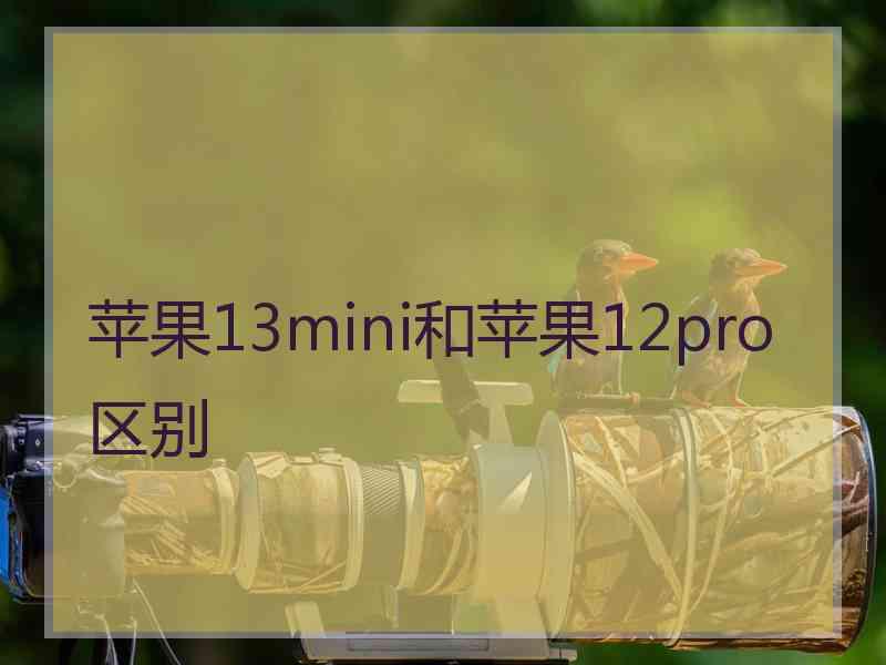 苹果13mini和苹果12pro区别