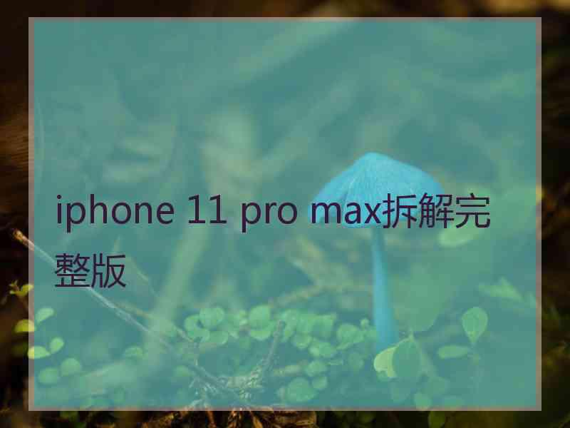 iphone 11 pro max拆解完整版