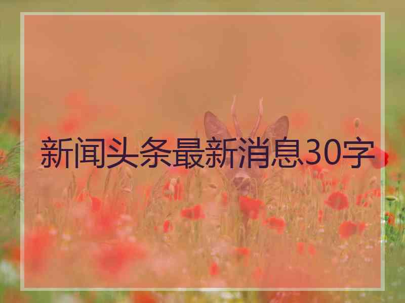 新闻头条最新消息30字