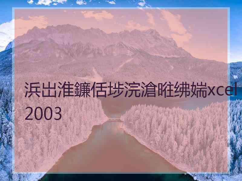 浜岀淮鐮佸埗浣滄暀绋媏xcel2003