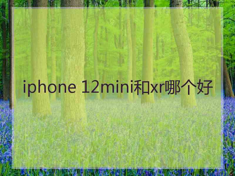 iphone 12mini和xr哪个好