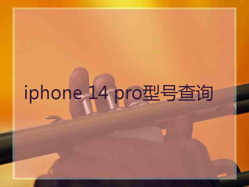 iphone 14 pro型号查询