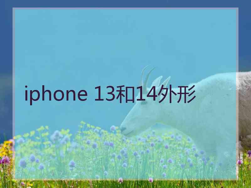 iphone 13和14外形