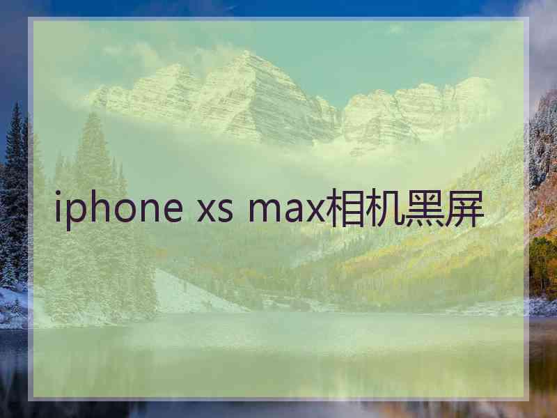 iphone xs max相机黑屏