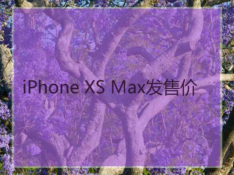 iPhone XS Max发售价