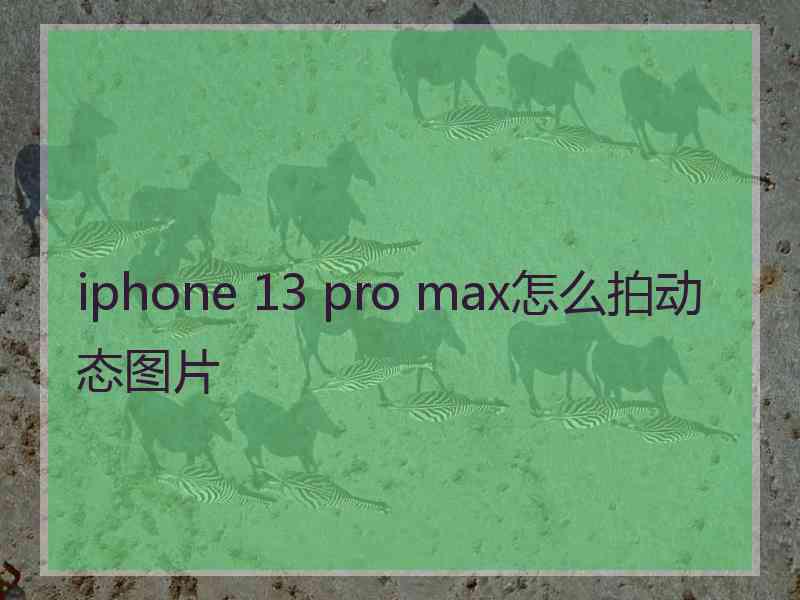 iphone 13 pro max怎么拍动态图片