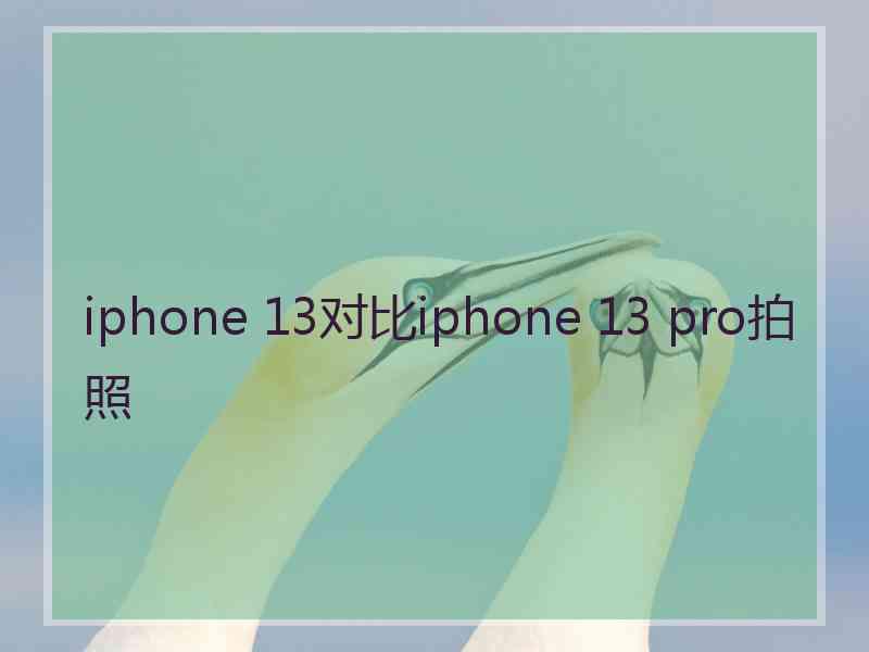 iphone 13对比iphone 13 pro拍照