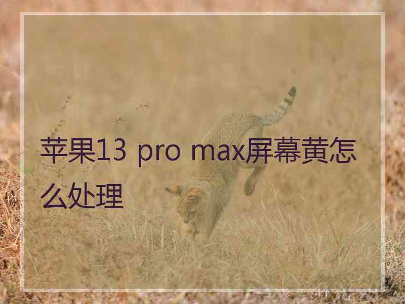 苹果13 pro max屏幕黄怎么处理