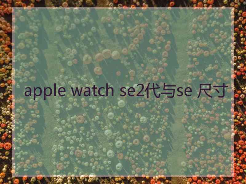 apple watch se2代与se 尺寸