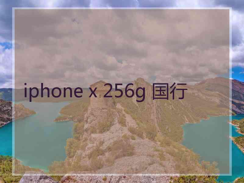 iphone x 256g 国行