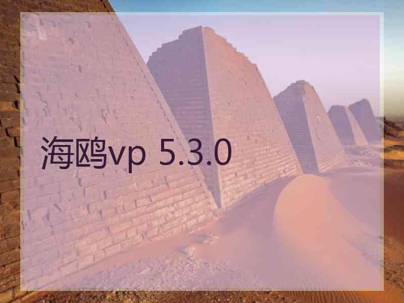 海鸥vp 5.3.0