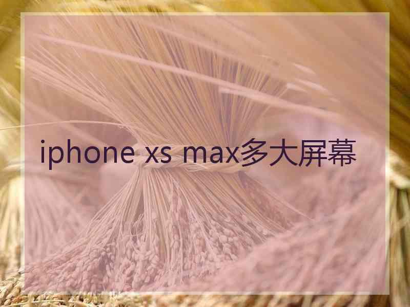 iphone xs max多大屏幕