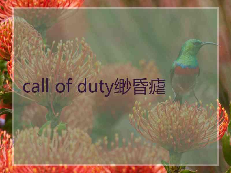 call of duty缈昏瘧