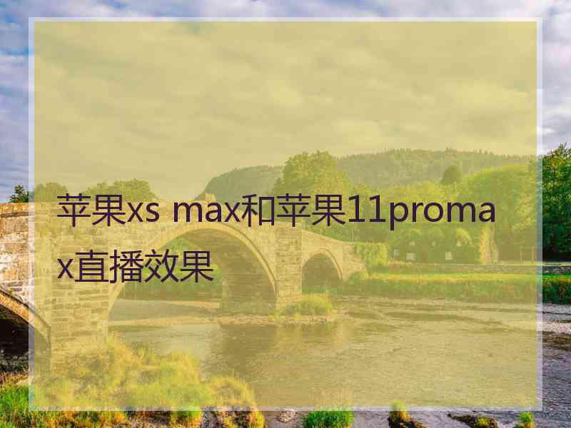 苹果xs max和苹果11promax直播效果