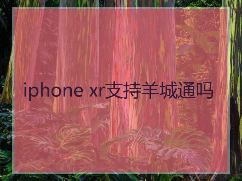 iphone xr支持羊城通吗