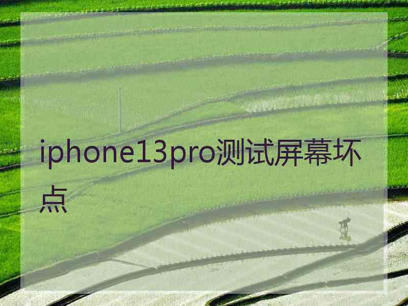 iphone13pro测试屏幕坏点