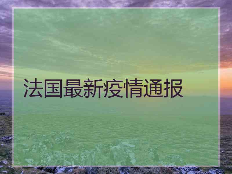 法国最新疫情通报