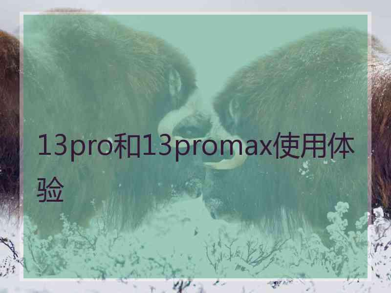 13pro和13promax使用体验