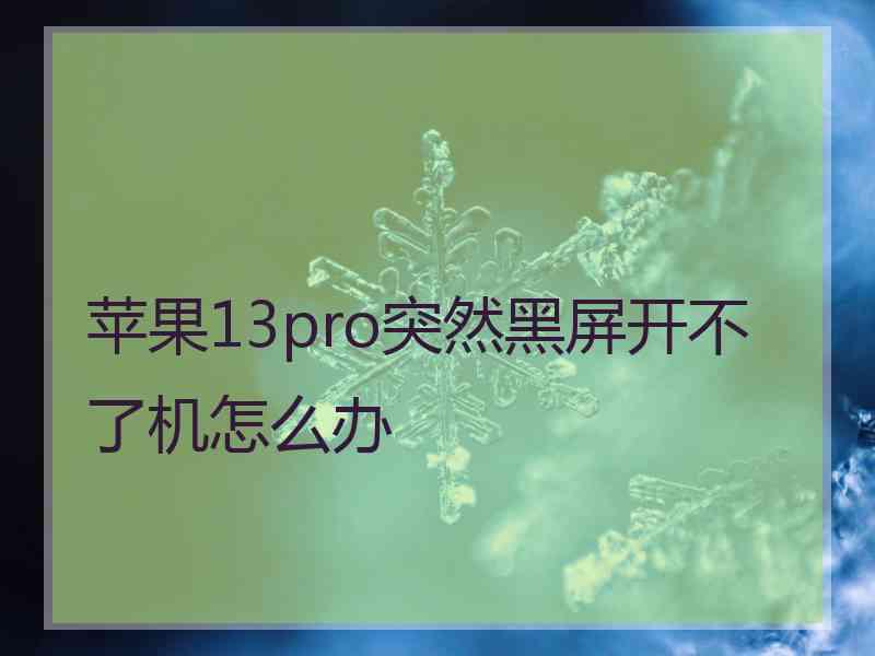 苹果13pro突然黑屏开不了机怎么办