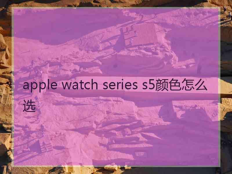 apple watch series s5颜色怎么选