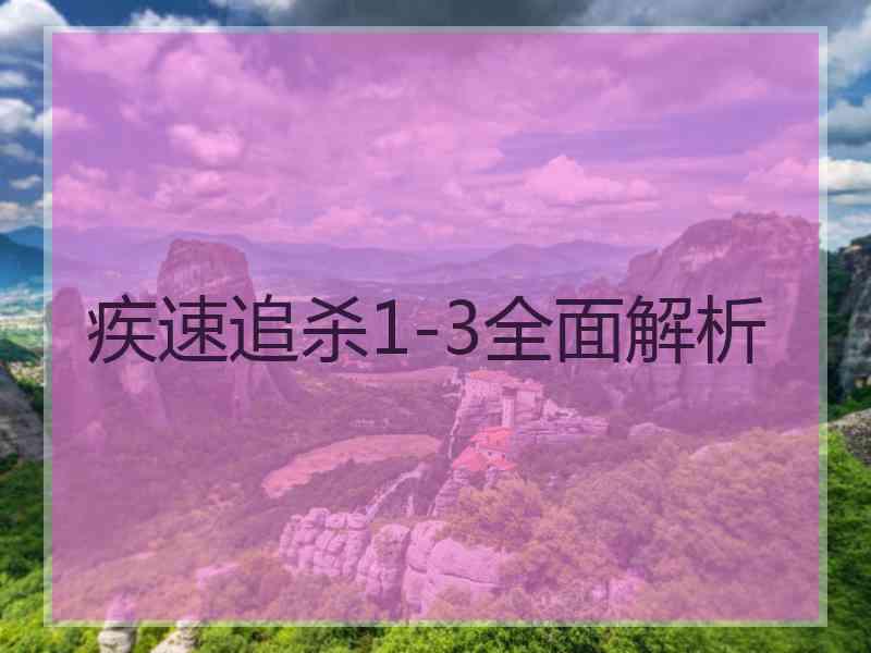 疾速追杀1-3全面解析