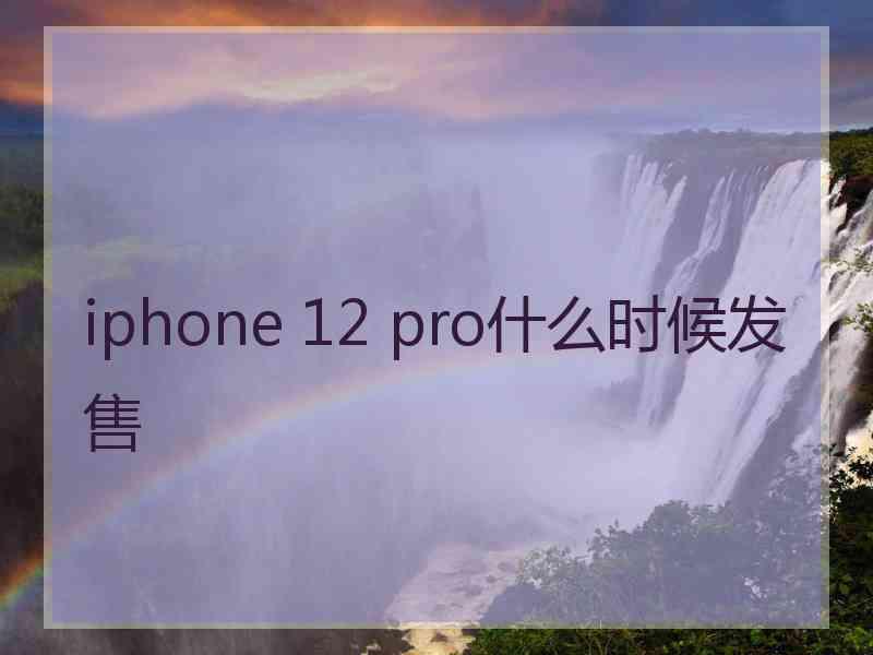 iphone 12 pro什么时候发售