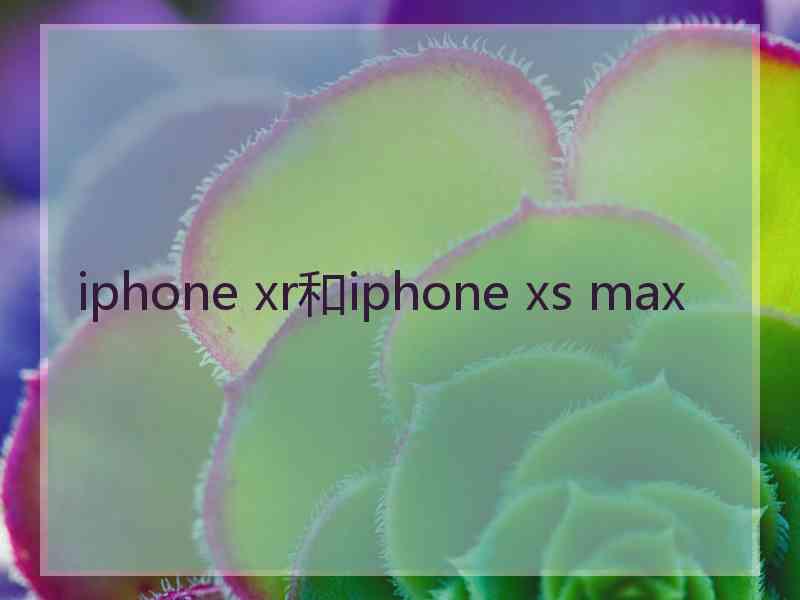 iphone xr和iphone xs max