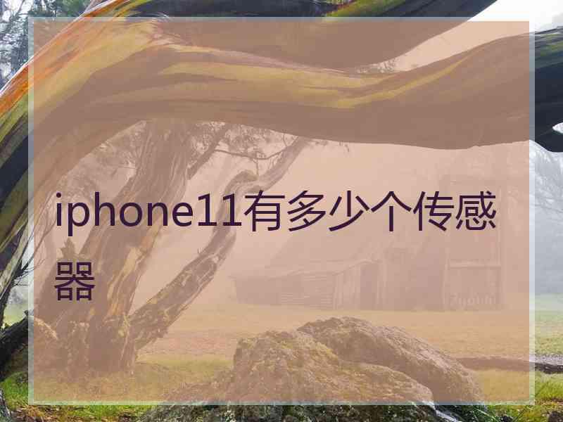 iphone11有多少个传感器