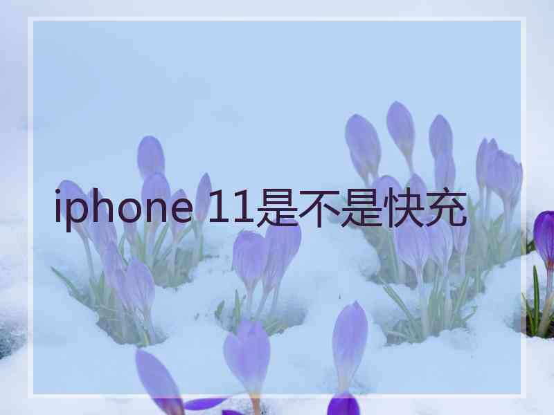 iphone 11是不是快充