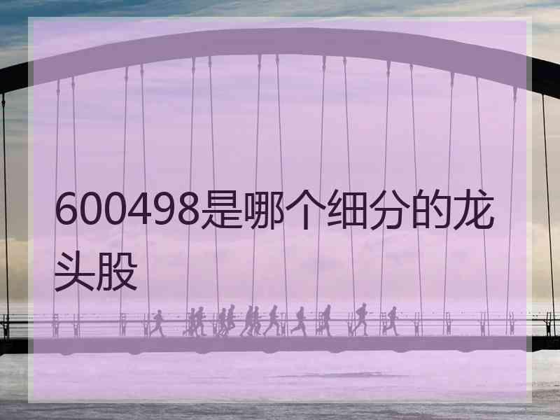 600498是哪个细分的龙头股