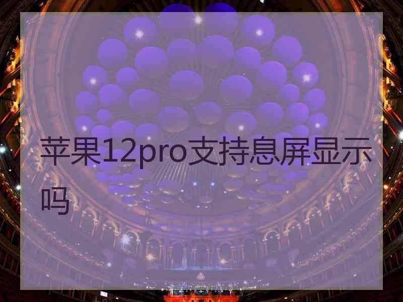 苹果12pro支持息屏显示吗