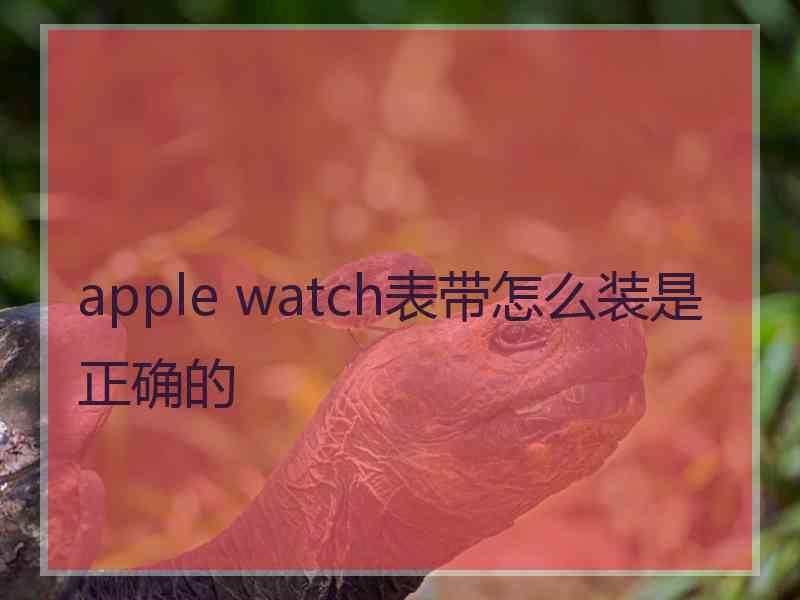 apple watch表带怎么装是正确的